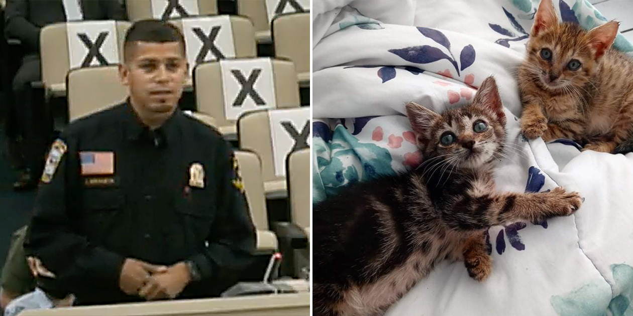 Laredo, TX Animal Control Officer Recognized for Saving 45 Cats from Fire