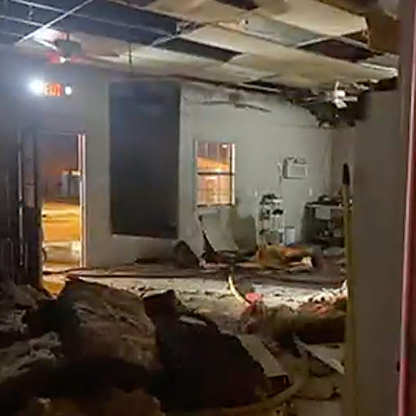 Laredo, TX Animal Control Officer Recognized for Saving 45 Cats from Fire