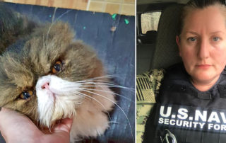 Mr. Grumpuss, Paws of War, Dawn Patterson