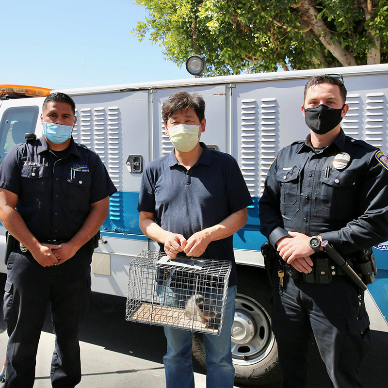 Animal Safety Officer Amador Martinez, City employee Young Lee, and Officer Richard Bell