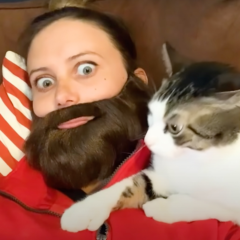 Lindsey wears a beard for cat