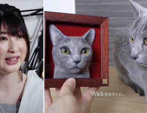 Sachi, ‘Wakuneco’ Artist, Creates 3-D Cat Portraits Capturing Every Detail