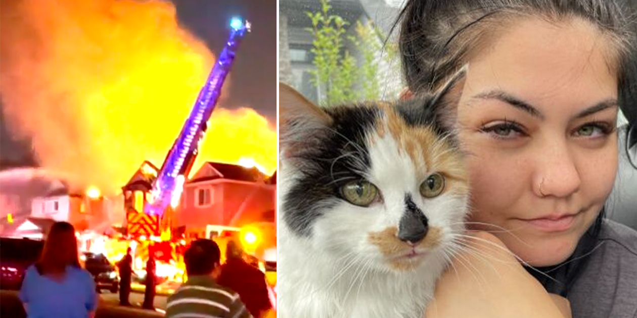 Fire Destroys Home, Then Neighbor Sees Movement in the Burned Rafters