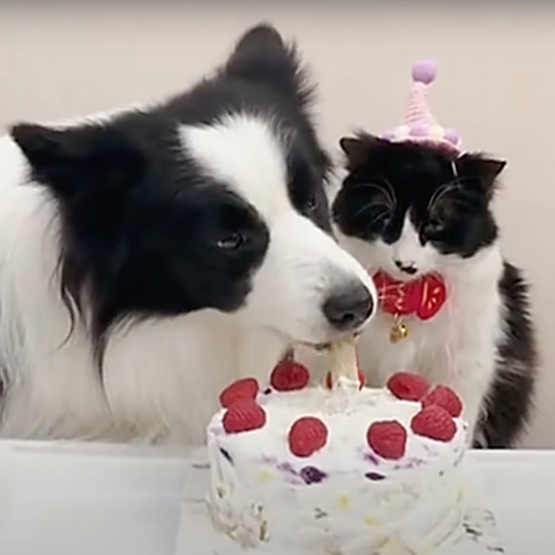 Keai and Yimi with birthday cake