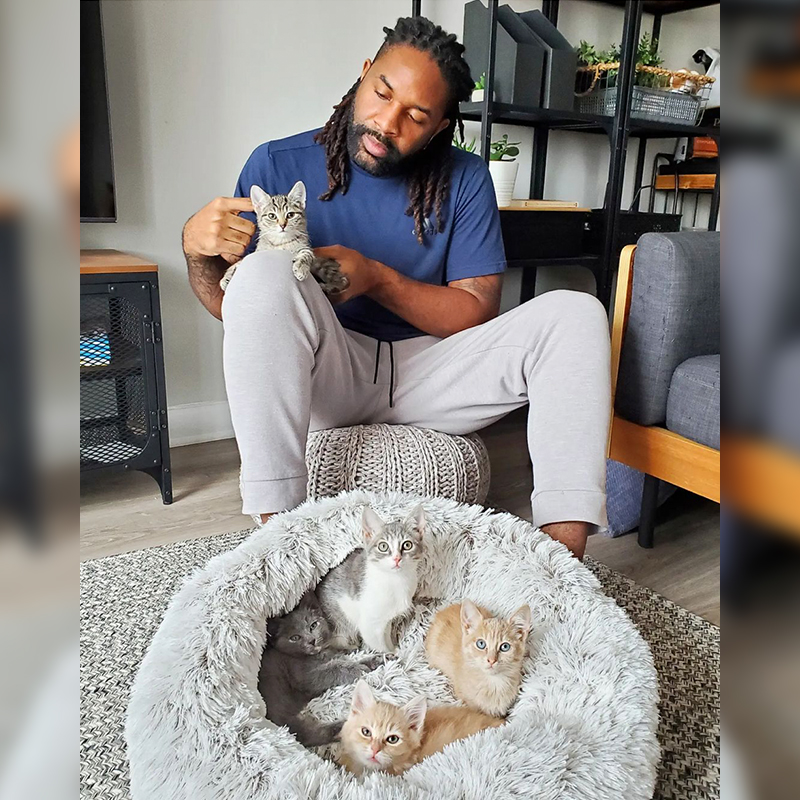 kittens with Abdul