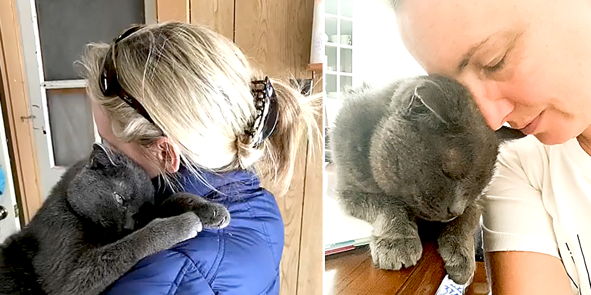 Mary Ratzinger Cat Mom Shares 'Love Story' After Adopting Bruiser the Cat from Shelter