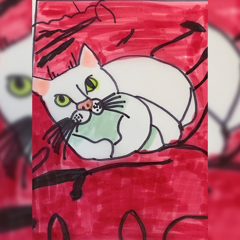 Merlin the cat drawing