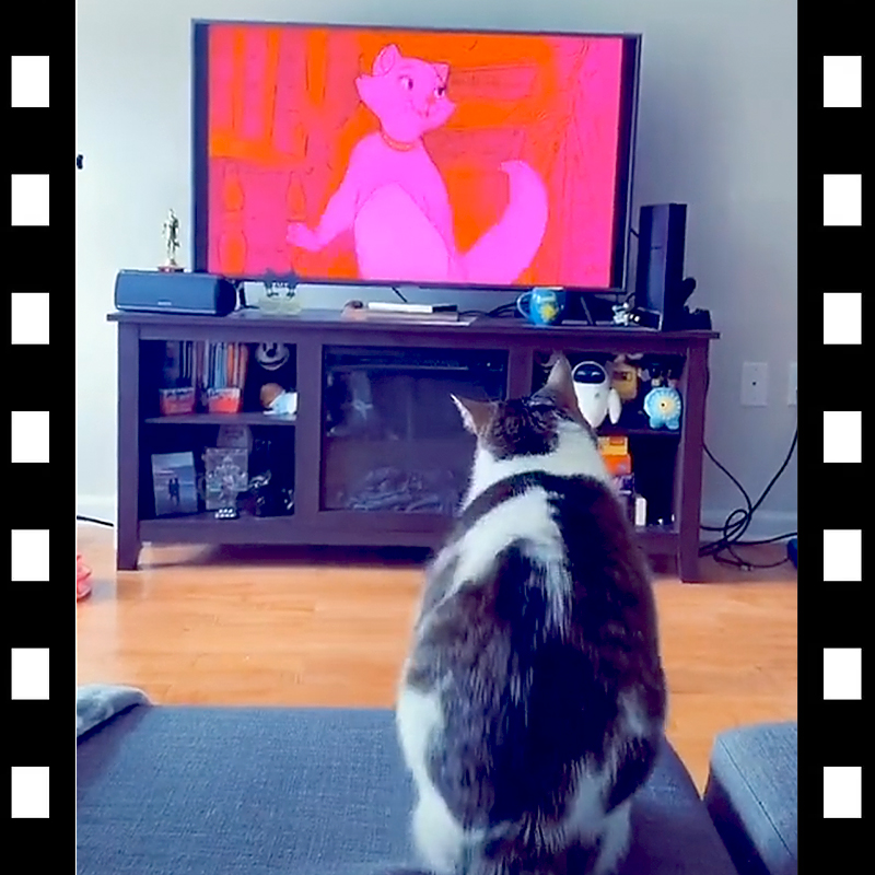 Ella watches TV, Aristocats