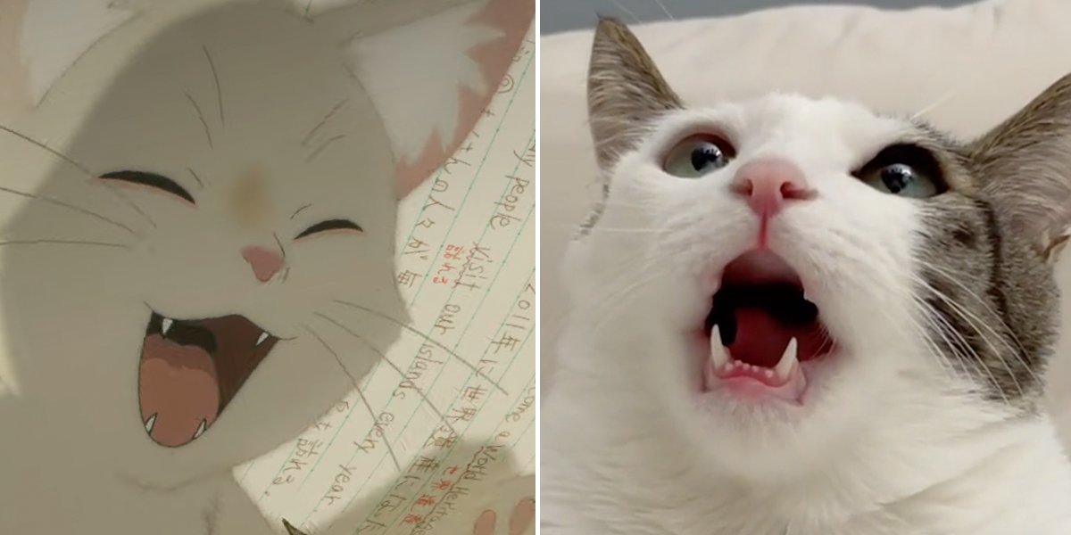 Hoseob the Korean Cat's Antics and Sounds Blurs Line Between Cat and Anime