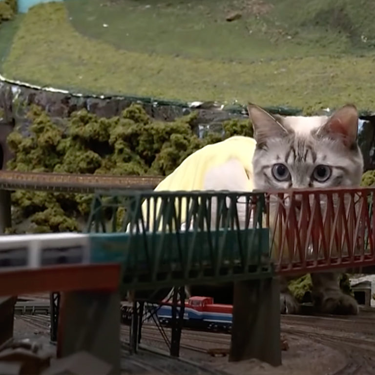 These Cats Smash Model Trains for a Living