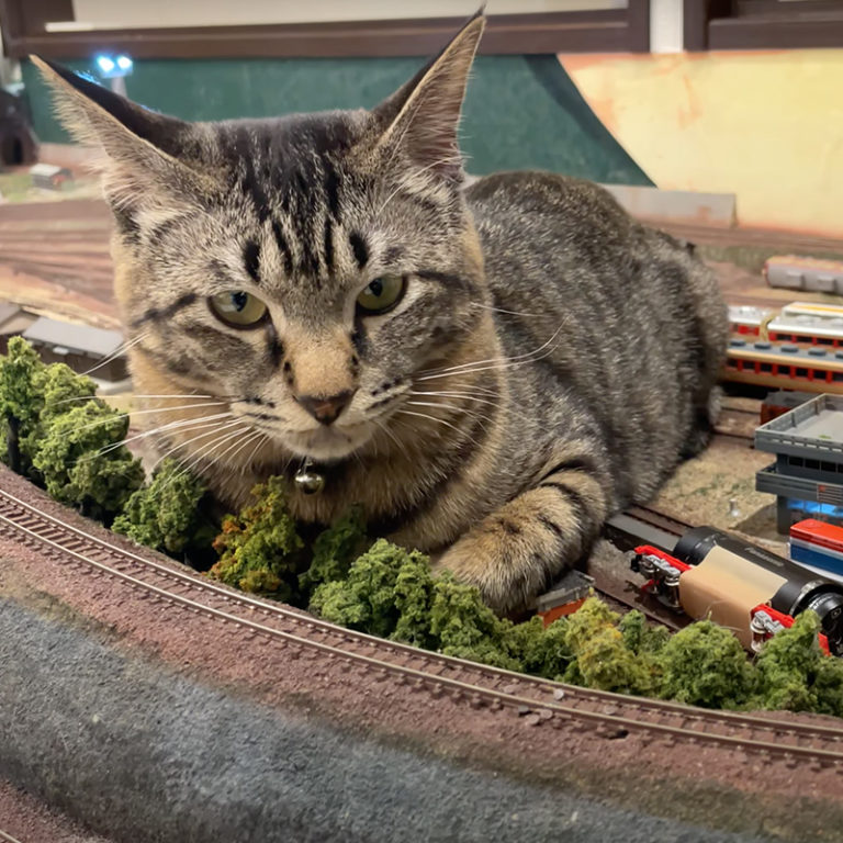 These Cats Smash Model Trains for a Living
