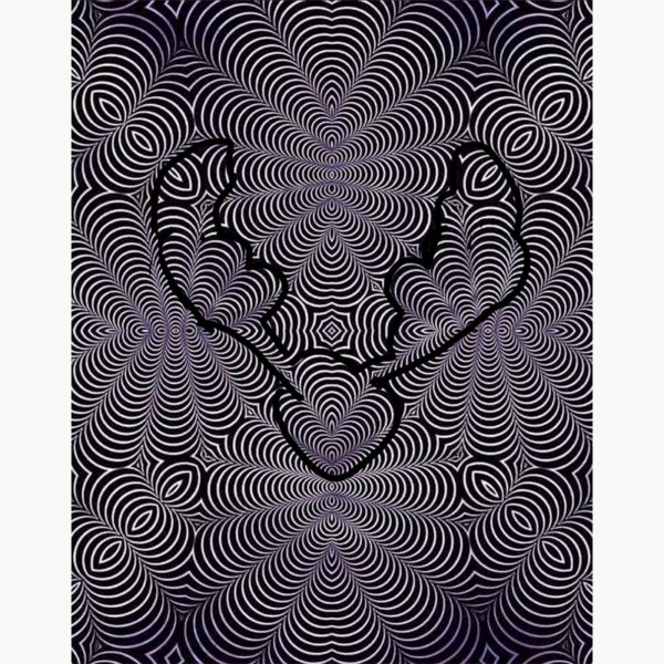 Optical Illusion Suggests People See a Cat or Moose, But the Jury is Out