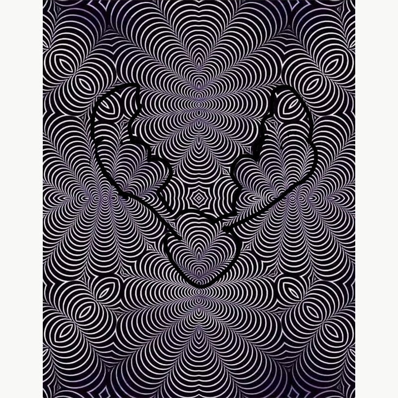 Optical Illusion, cat or moose