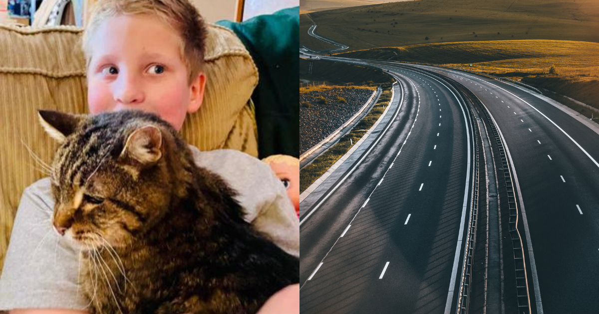 helen the cat with Jack and a road