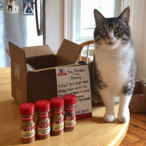 Winston cat, with Cinnamon Bottles