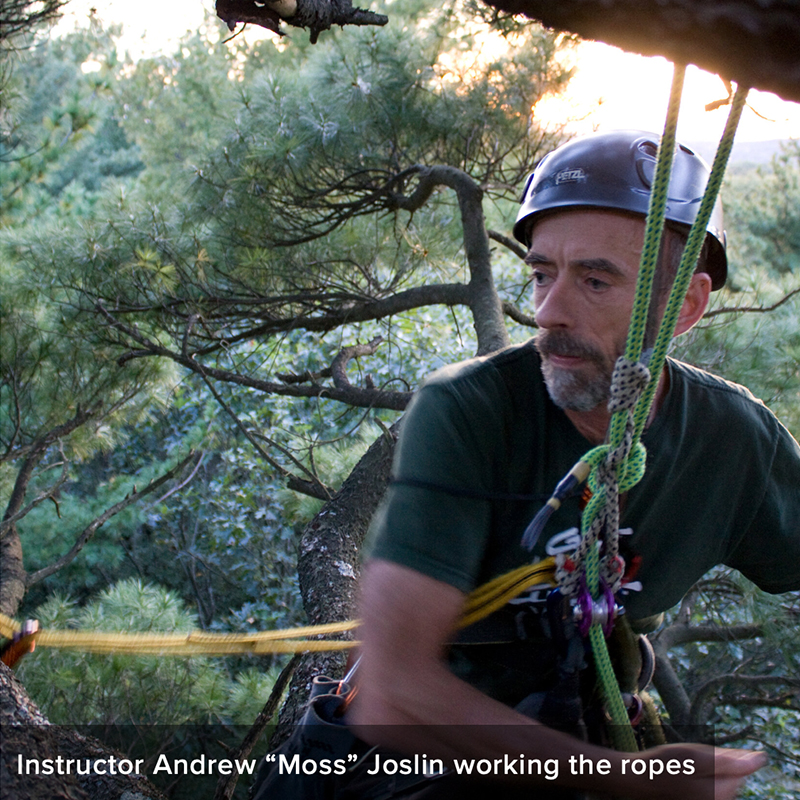 Andrew Joslin, 'Climbing Cat Whisperer' Saves 8-Year-Old Peanut Stuck 80 Ft in Tree, Andrew Joslin, Tall Pines Tree School
