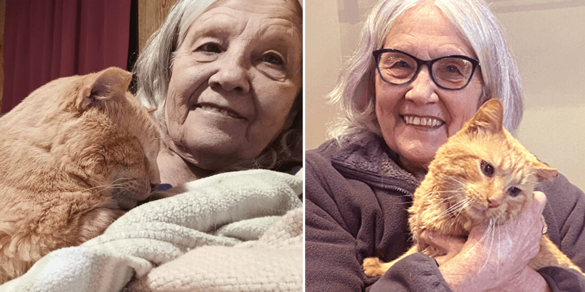 Barbara and Ichabod the special needs cat with FIV, Pets for Patriots