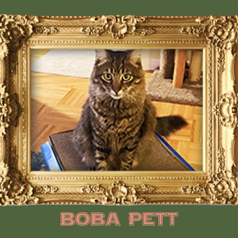 Name - Boba Pett