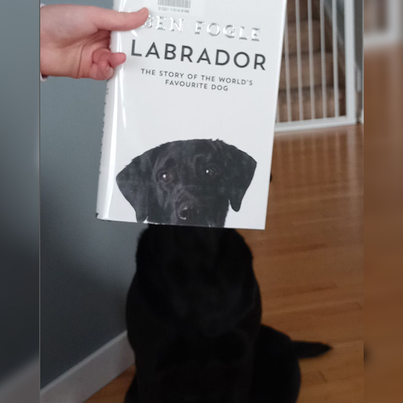 Lab with book for face
