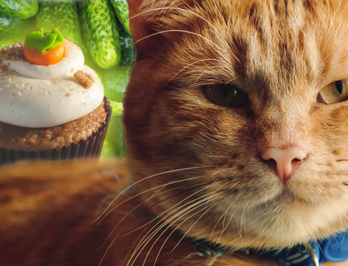 Pickles McButterpants The Muffin Slayer Wins Wacky Cat Name Contest