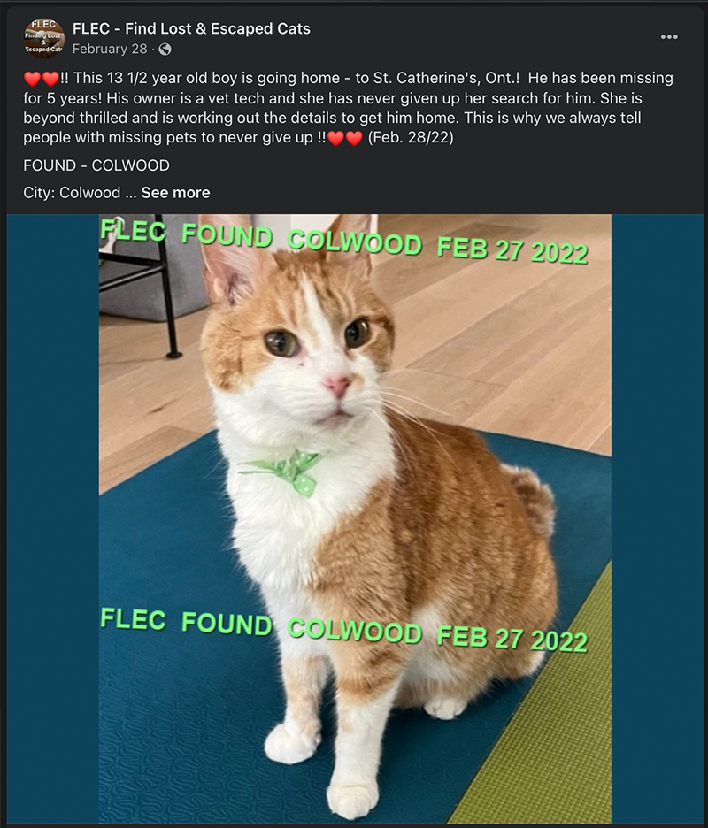 FLEC Facebook post, microchip, cat