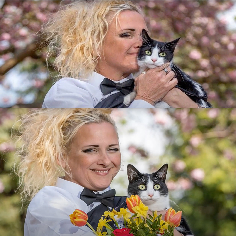 Woman marries cat named India
