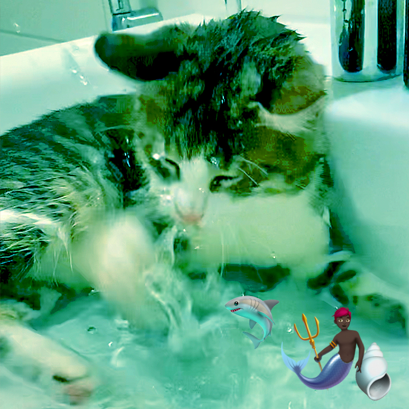 Kyle the Mermaid Cat in sink splashing