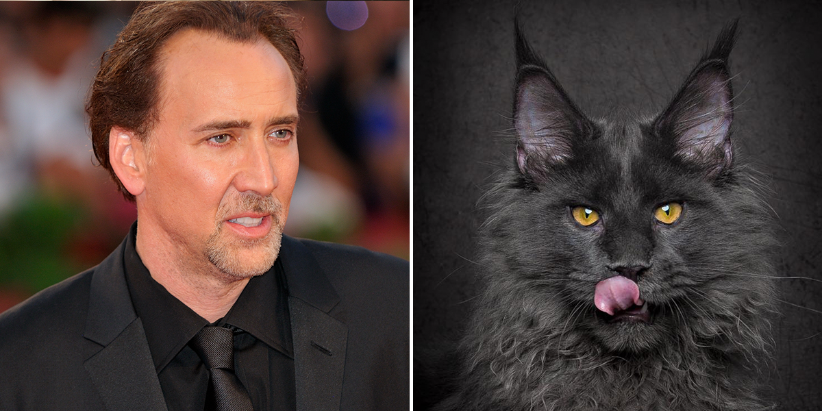 Nicolas Cage with Merlin his beloved cat