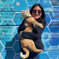 Edmonton Public Library introduces Samwise, the 'Feline Fiction Finder'