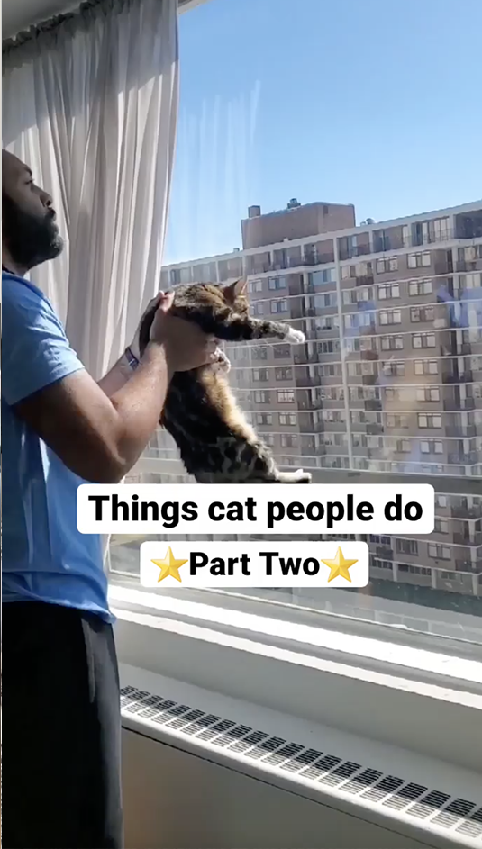 https://coleandmarmalade.com/wp-content/uploads/2022/04/Abdul-things-cat-people-do-part2.mp4