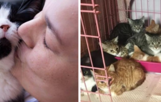 lisa and cats