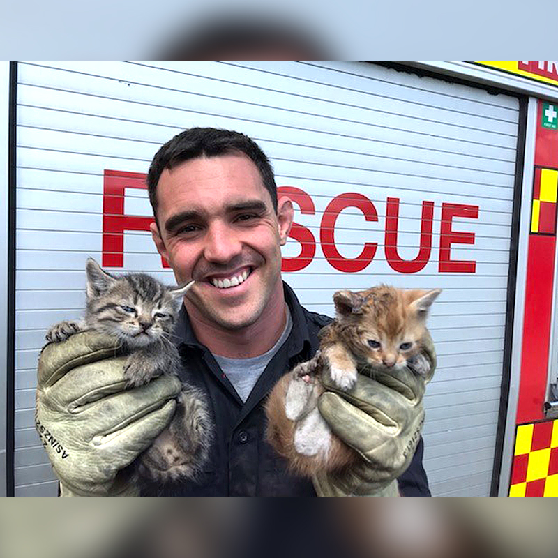 Firefighter with two kittens