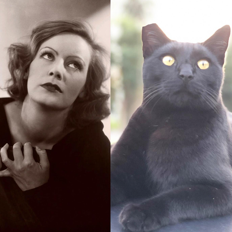 Chat noir avec Greta Garbo