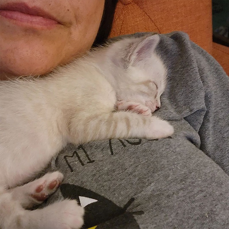 Liza D holds sleeping kitten on shoulder