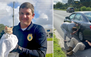 New Bern, Police save kitten trapped in wheel well, Captain Daniels and Sgt. Weaver, North Carolina
