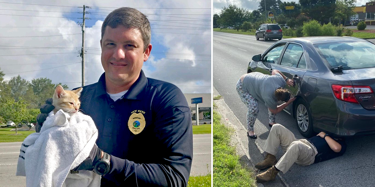 New Bern, Police save kitten trapped in wheel well, Captain Daniels and Sgt. Weaver, North Carolina