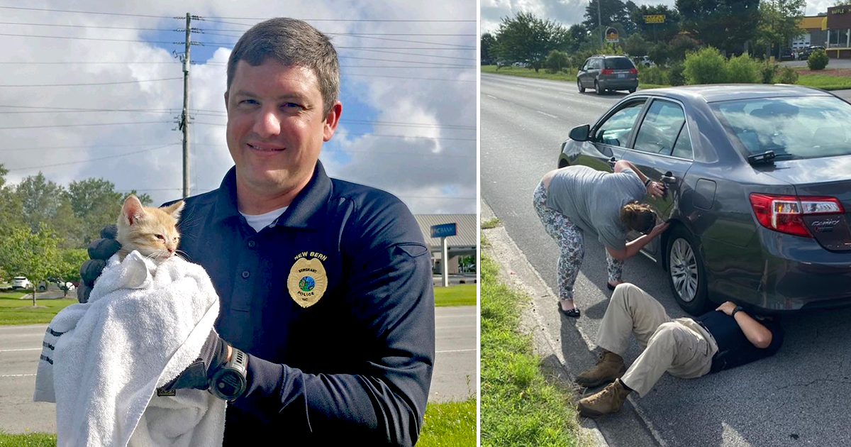 Stop for Stranded Motorist Turns Into Surprise Kitten Rescue