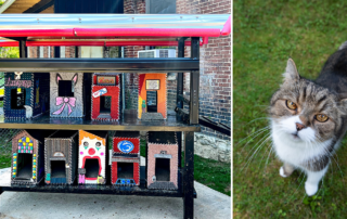 New York Wire Works, Cat houses, Jak Arts, Feral cat colony, Pennsylvania