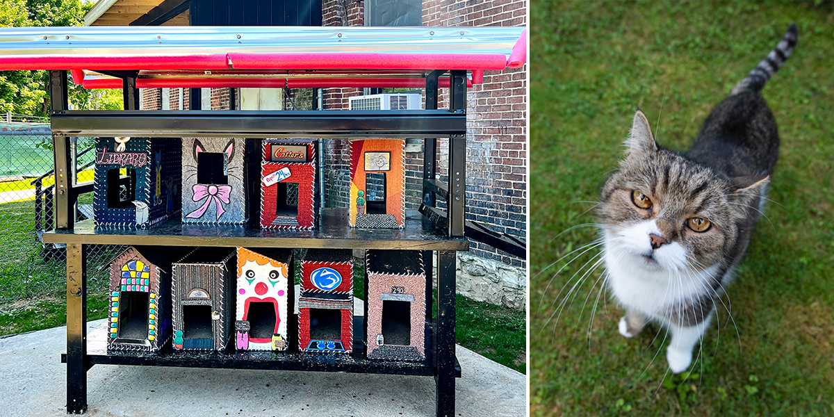 New York Wire Works, Cat houses, Jak Arts, Feral cat colony, Pennsylvania