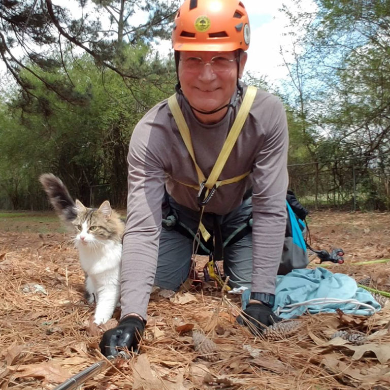 70YearOld Man Retires, Starts Rescue Saving Cats in Trees