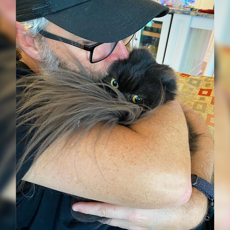 Man holding rescued cat from Kuwait