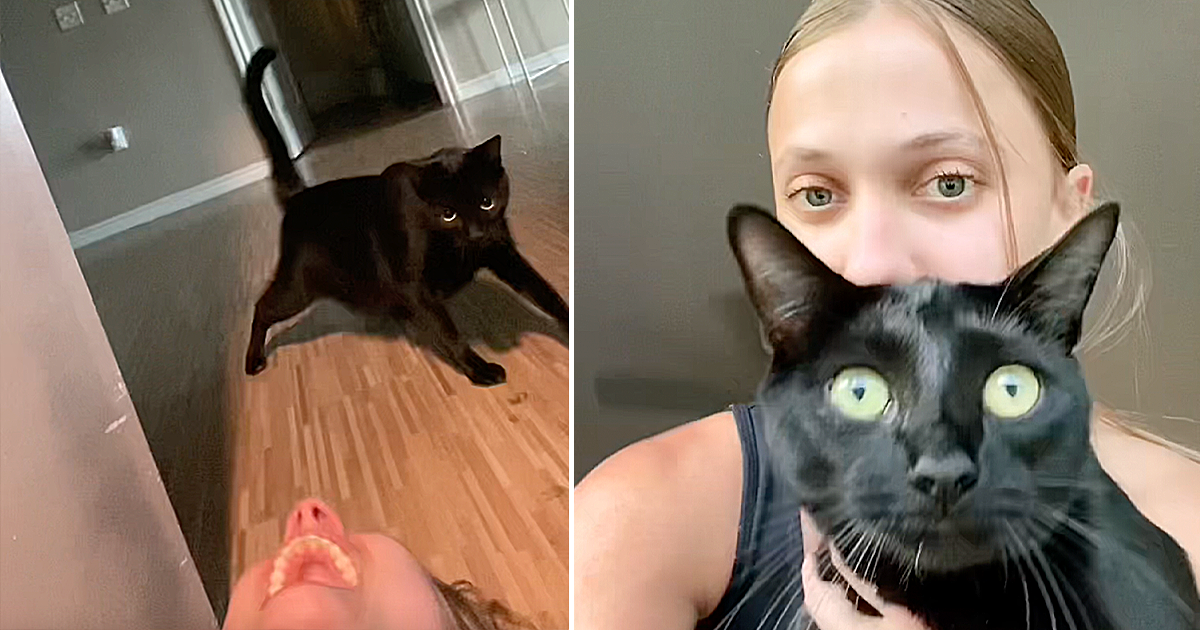 Voodoo the Black Cat Unlocks Door for 'Auntie' Locked Outside Home