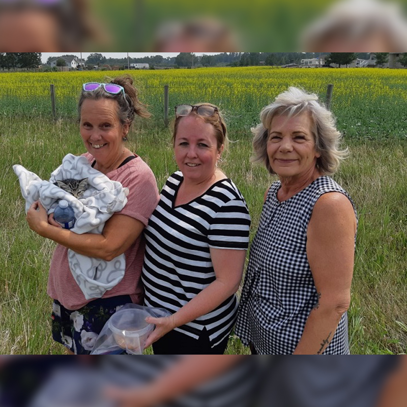  Amber Garofano, Tanya Vander Ploeg, and Christine Doepe were among the searchers who found a kitten that had been tossed from a vehicle north of High River. Image via Okotoksonline.