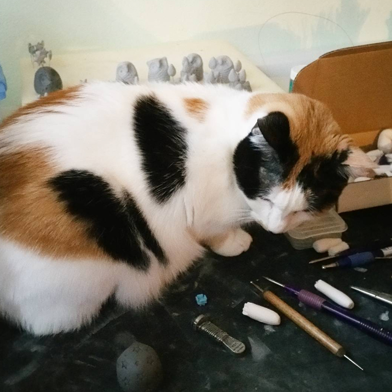 Boo looking at brushes