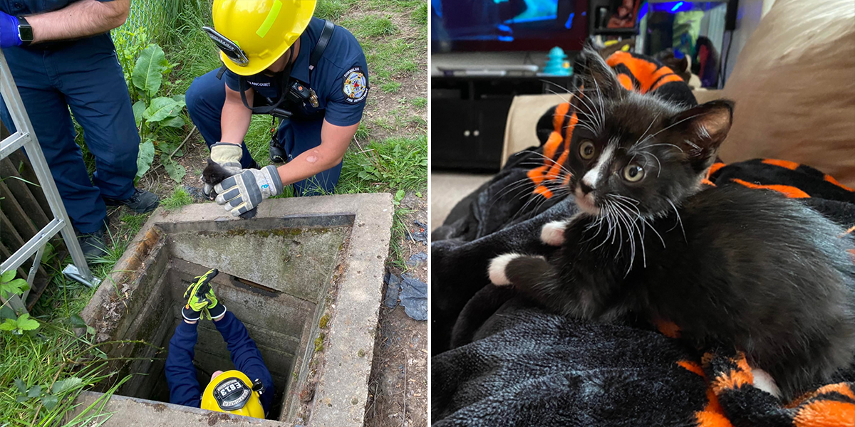 Cornelius Fire Department, kitten rescue, Oregon