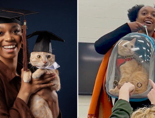 Graduate Celebrates Reaching Her Dreams with Beloved Cat Ziggy