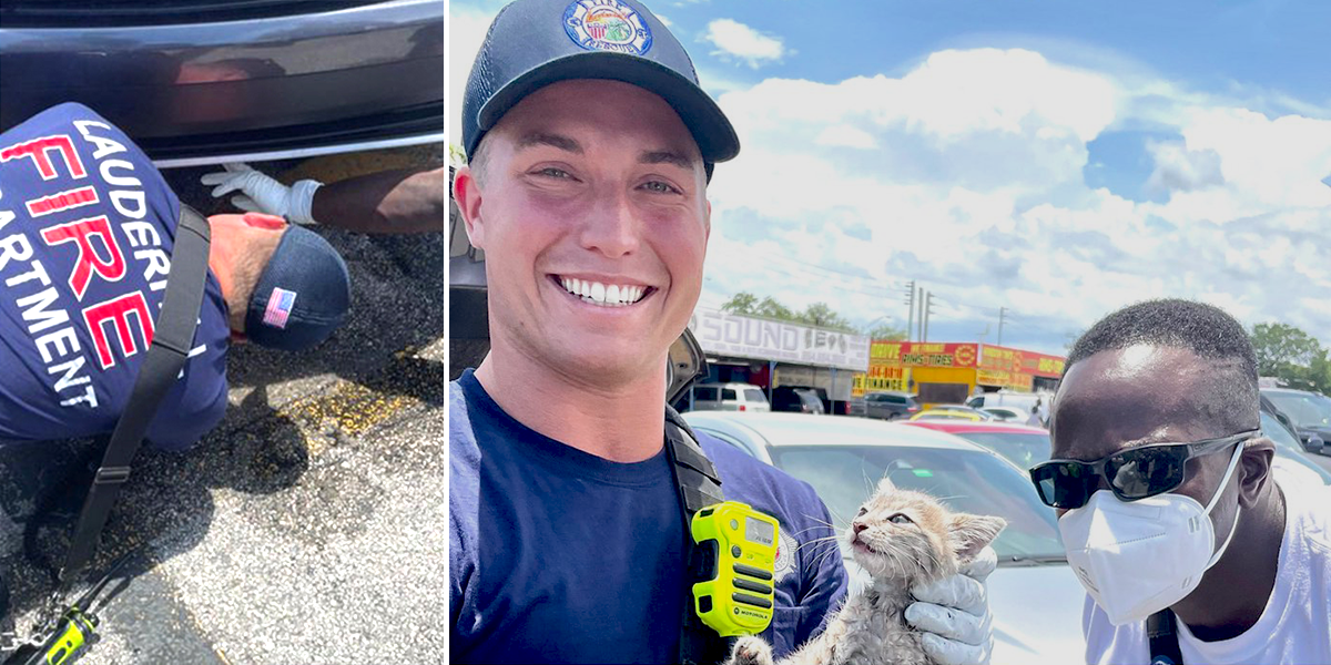 Lauderhill Fire PIO save a kitten from a vehicle