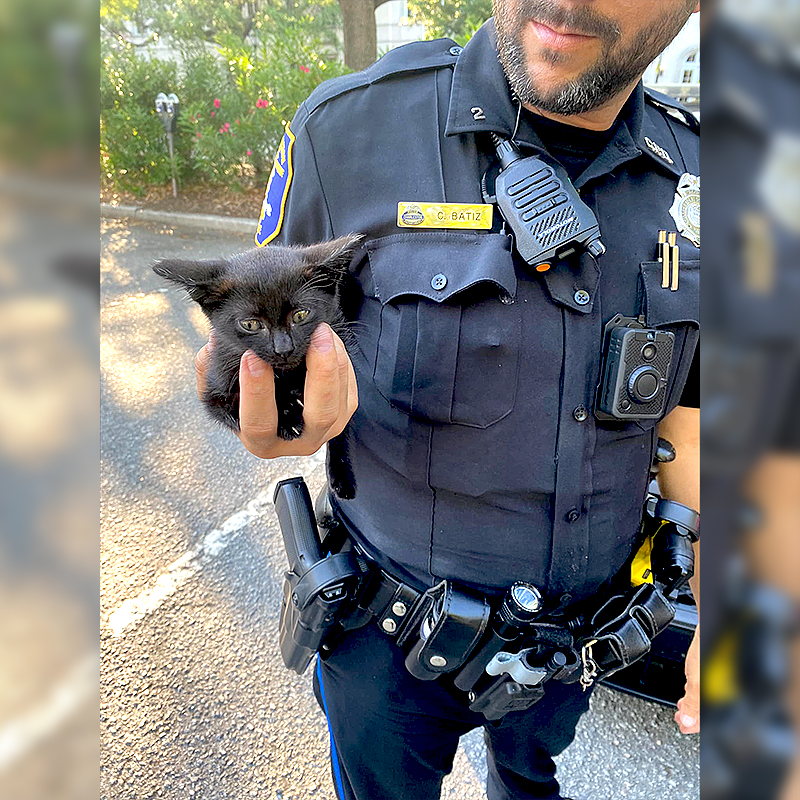 Batiz with kitten, Clover, Charleston Police Department