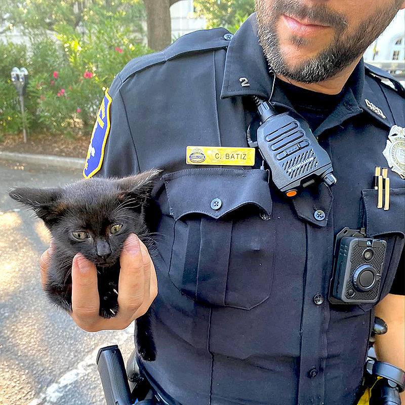 Officer Batiz with kitten, Clover, Charleston Police Department
