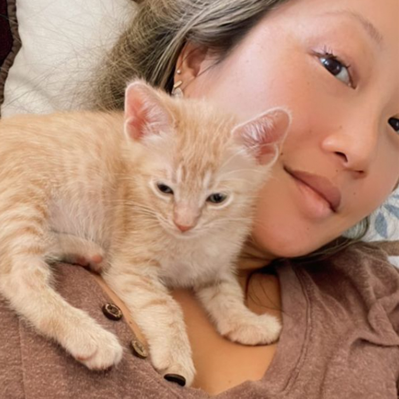 Pei Chiu with Roman the kitten